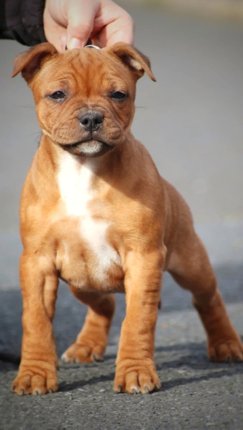 Us Against The World Of Heart's Ghosts