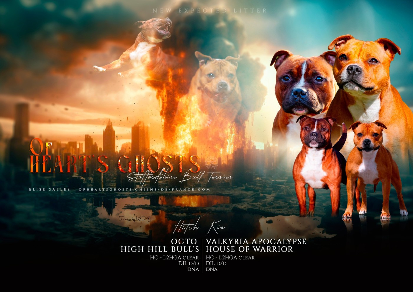 Litter Kie & Hitch 2025