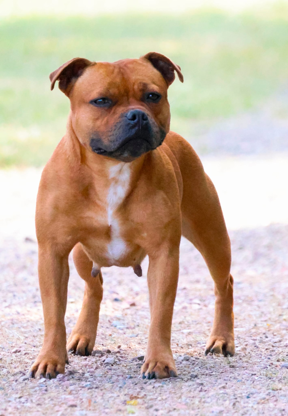 Riley Sloan House Of Warrior